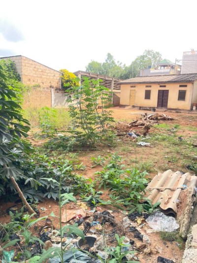 3/4 de lot cloturé avec tampon otr à 100m du goudron