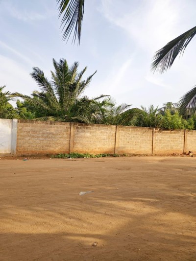 1 lot et démi cloturé  avec titre foncier à 500m du goudron