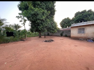 1 lot et démi cloturé avec titre foncier