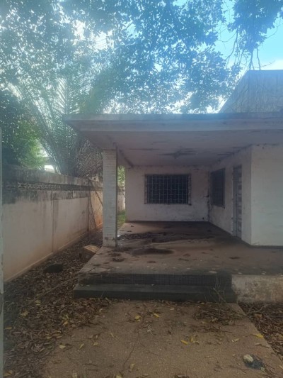 1 lot avec titre foncier à 200m du goudron