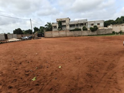 1 lot avec 3 tampons à 500m du lycée