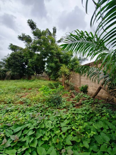 1 lot cloturé avec titre foncier à 300m du goudron