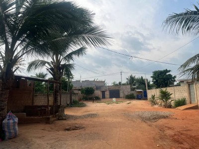 6 lots collés avec titre foncier à 1.5km du goudron