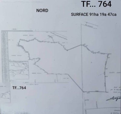 91 hecatares agricole avec titre foncier à 15km du goudron