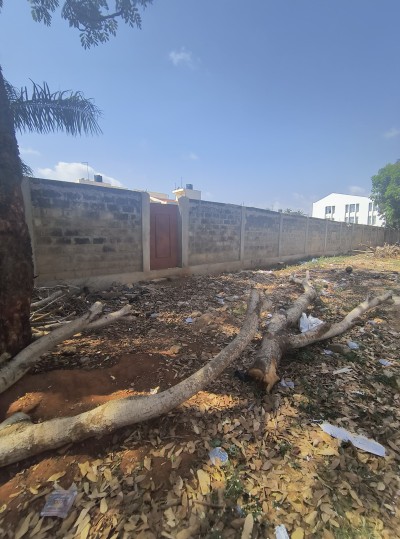 4 lots collés cloturés avec titre foncier derrière togo 2000