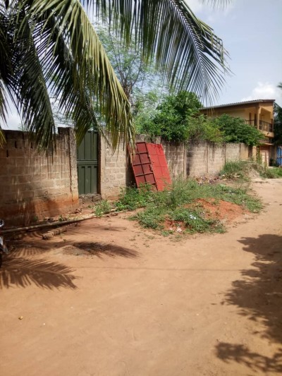 2 lots collés cloturés avec titre foncier