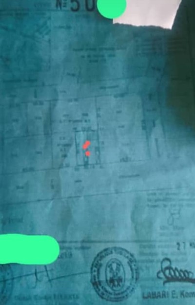 1 lot avec titre foncier à 80m du goudron