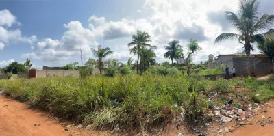 3 lots collés cloturés avec titre foncier à 40m du goudron