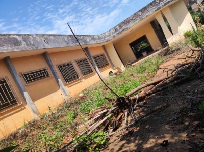 2 lots et démi collés avec titre foncier  + vieille maison à raser