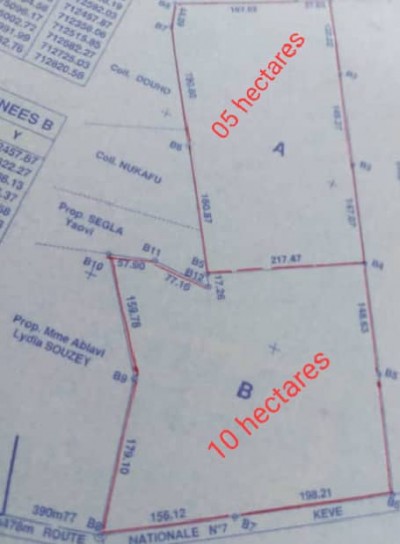 15 hectares avec titre foncier au bord du goudron