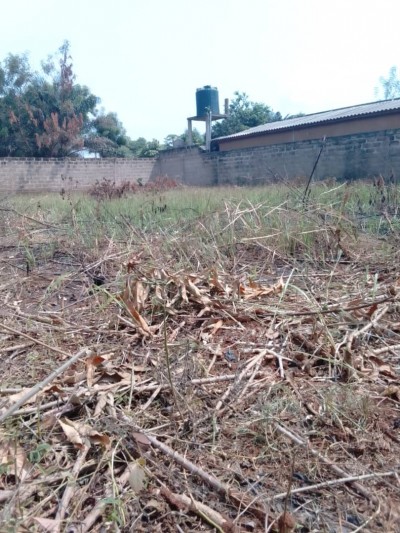 2 lots collés cloturés avec titre foncier à 400m du goudron