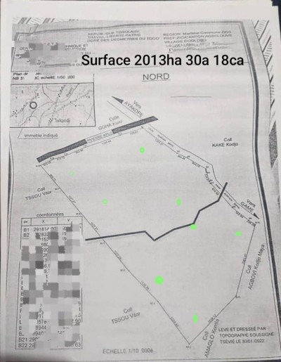 2013 hectares agricole avec plan lévé +mandat à 3.5km doudron