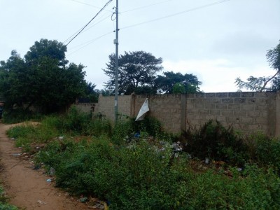6 lots collés cloturés avec titre foncier