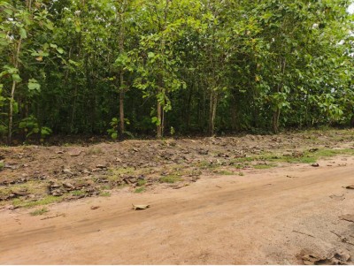 31 hectares collés avec titre foncier à 3km du goudron + tecks