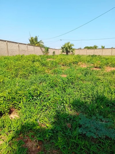 8 lots collés avec titre foncier à 90m du goudron