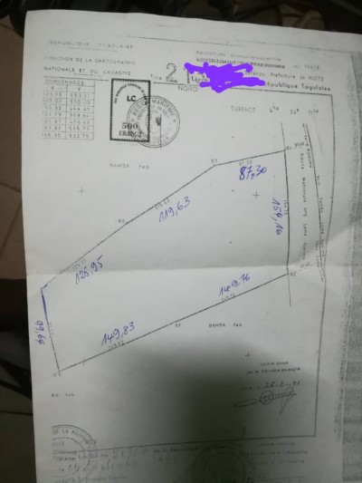 4 hectares avec titre foncier au bord du goudron
