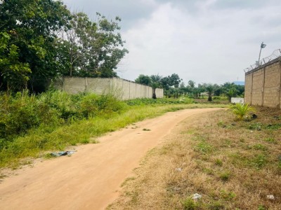 2 lots collés  avec titre foncier global à 500m du goudron
