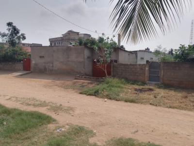 1 lot avec certificat administratif à 120m des pavés de totsi