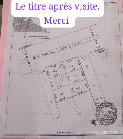 6 lots collés avec titre foncier au bord du goudron