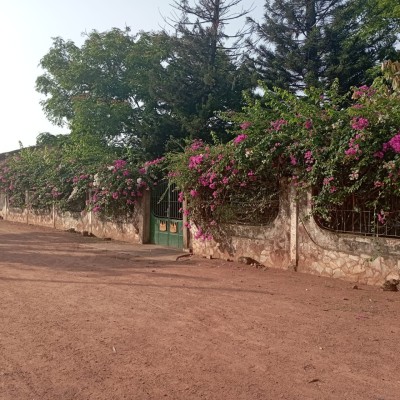 hotel 18 chambres meublé sur 6 lots avec titre foncier +