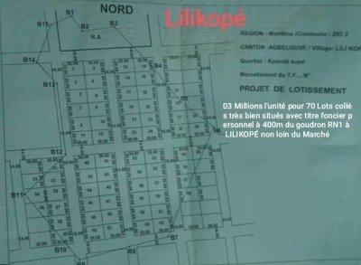 70 lots collés avec titre foncier à 400m du goudron