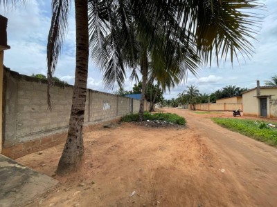 1 lot cloturé avec titre foncier à 650m du goudrobn