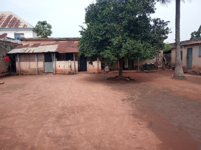 1 lot cloturé avec titre foncier ( vieille construction à raser )