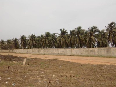 27 lots collés cloturés avec 3 tampons en bord de mer