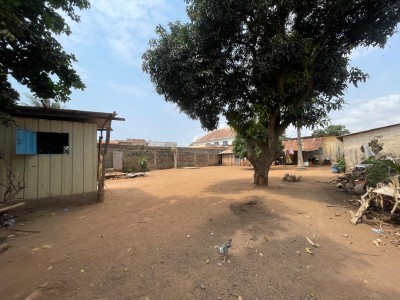 1 lot cloturé avec titre foncier + vieille maison à raser