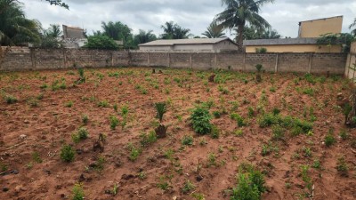 1 lot et démi cloturé avec titre foncier en cour