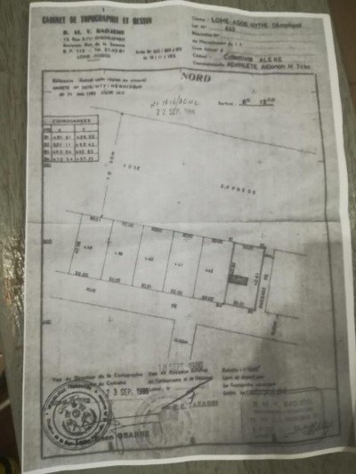 1 lot 1/4 avec plan +mandat au bord du goudron