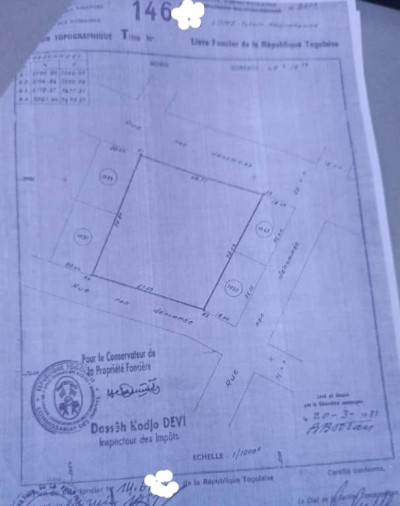 6 lots collés avec titre foncier au bord du goudron
