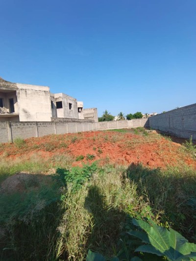 1 lot cloturé avec titre foncier à 200m du goudron monument