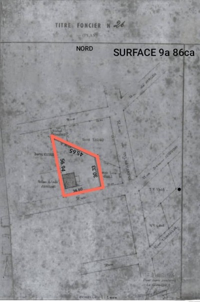 1 lot 3/4 cloturé avec titre foncier global à 20m du goudron