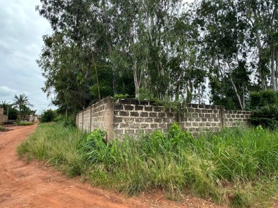 2 lots collés cloturés avec titre en cours  au bord grande voie