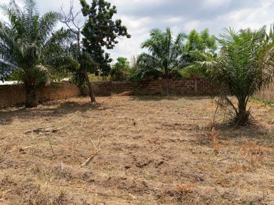 2 lots collés avec plan visé
