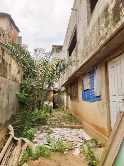 2 lots collés clotués avec titre foncier à 500m du goudron