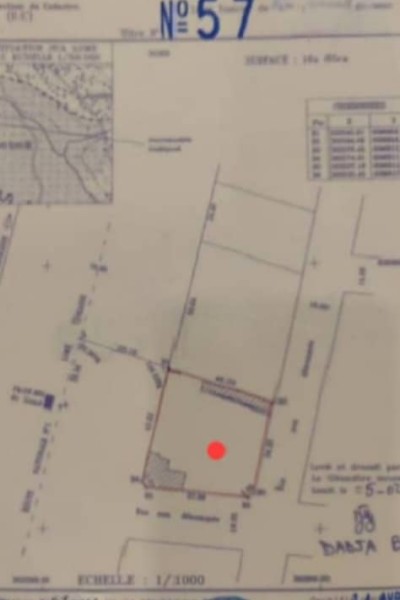 2 lots 1/3 cloturés avec titre foncier au bord du goudron