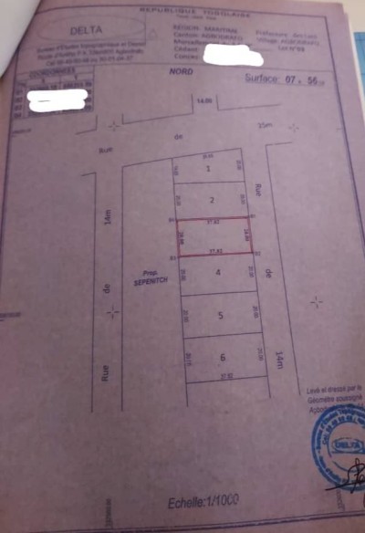 1 lot 1/4 avec 3 tampons à 50m de safari