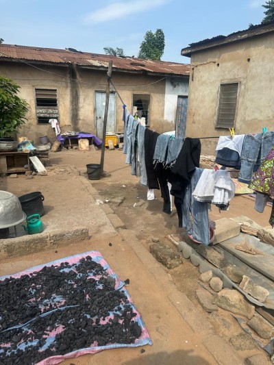 1 lot cloturé avec plan parcellaire au bord du goudron