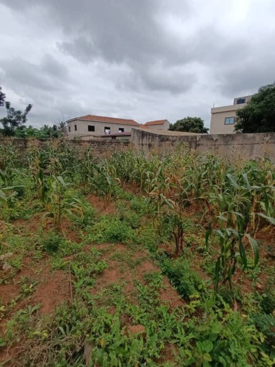 2 lots collés cloturés  avec titre foncier