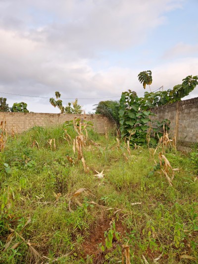 1 lot cloturé avec titre foncier à 800m du goudron