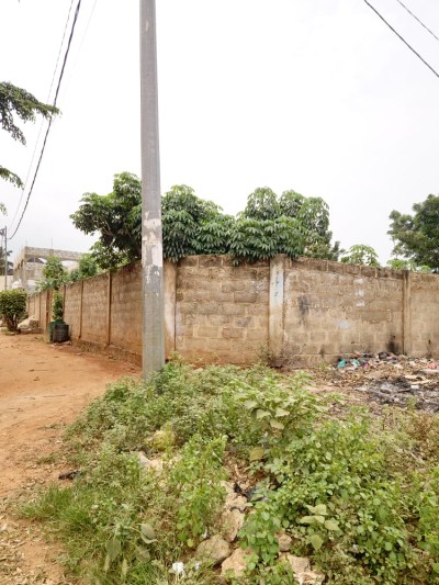 1 lot 1/4 cloturé avec titre foncier à 300m du goudron