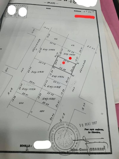 2 lots 1/4 cloturés avec titre foncier + 2 villas