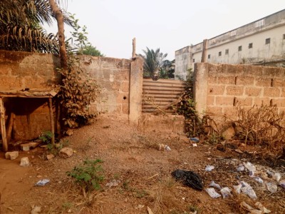 2 lots 1/4 cloturés avec tampon otr