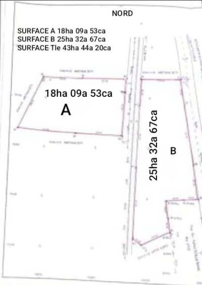 43 hectares  avec titre foncier au bord du goudron