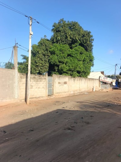 2 lots cloturés avec titre foncier