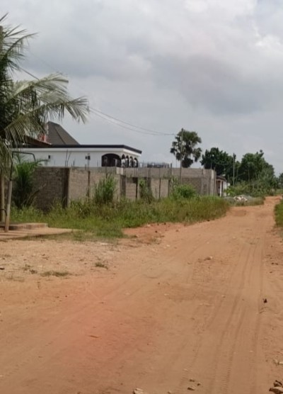 3 lots collés avec plan +mandat notarié