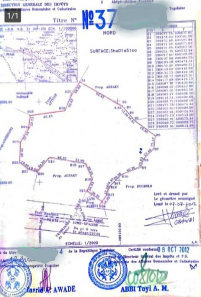 20 lots collés avec titre foncier
