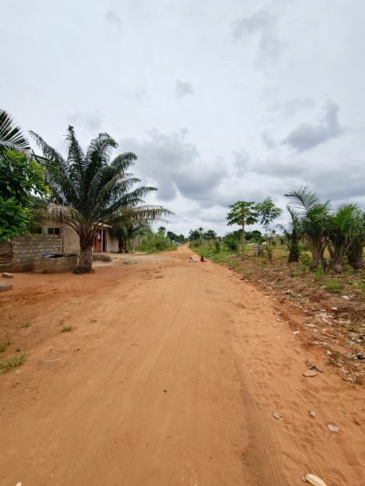 3 lots collés avec un tampon otr à 1km de la grande voie